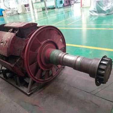 北京某變頻柜廠家試驗用電機T3200、1730-10KV轉子磁極線圈修復